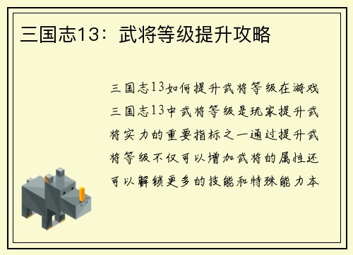 三国志13：武将等级提升攻略